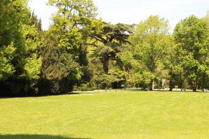 Chateau Castelrives Bessières Eksteriør bilde